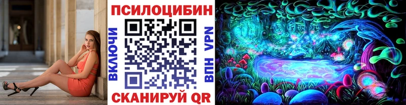 где можно купить   Весьегонск  Псилоцибиновые грибы GOLDEN TEACHER 
